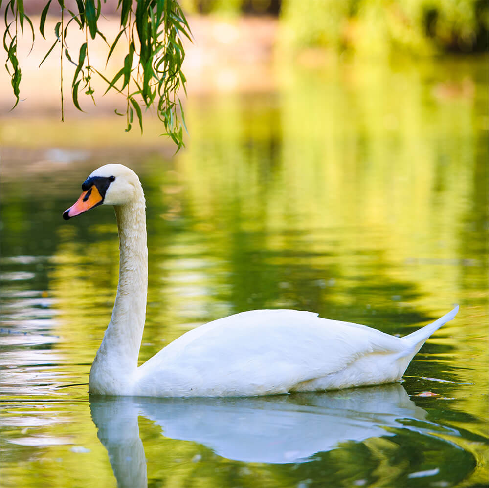 Higher Health and Healing Who are we